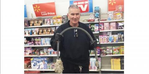 Slide of The Drain Medic