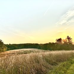 Hildacy Preserve - Natural Lands - Hildacy Preserve