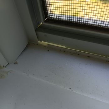 The Home Depot - Same gaps different window - Nurseries & Gardening Near Me - Wallingford, Connecticut