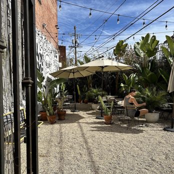 Palm Grove Social - Patio area - Coffee & Tea Near Me - Los Angeles, California Palm Grove Social - Patio area - Coffee & Tea Near Me - Los Angeles, California