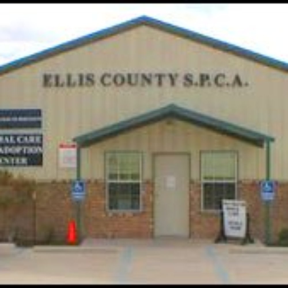 Ellis County SPCA - The Ellis County SPCA - Animal Shelters Near Me - Waxahachie, Texas