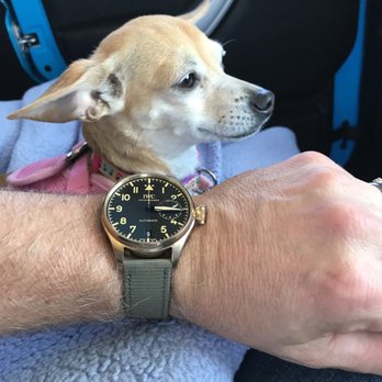 IWC - Big Pilot with my daughter's dog Lucy. - Jewelry Near Me - Beverly Hills, California IWC - Big Pilot with my daughter's dog Lucy. - Jewelry Near Me - Beverly Hills, California