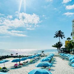 Shephard's Beach Resort