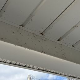 Spider webs out of control