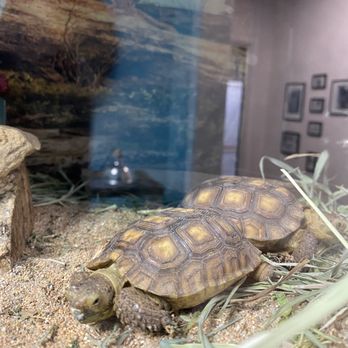 Fresno Discovery Center - Educational Services Near Me - Fresno, California