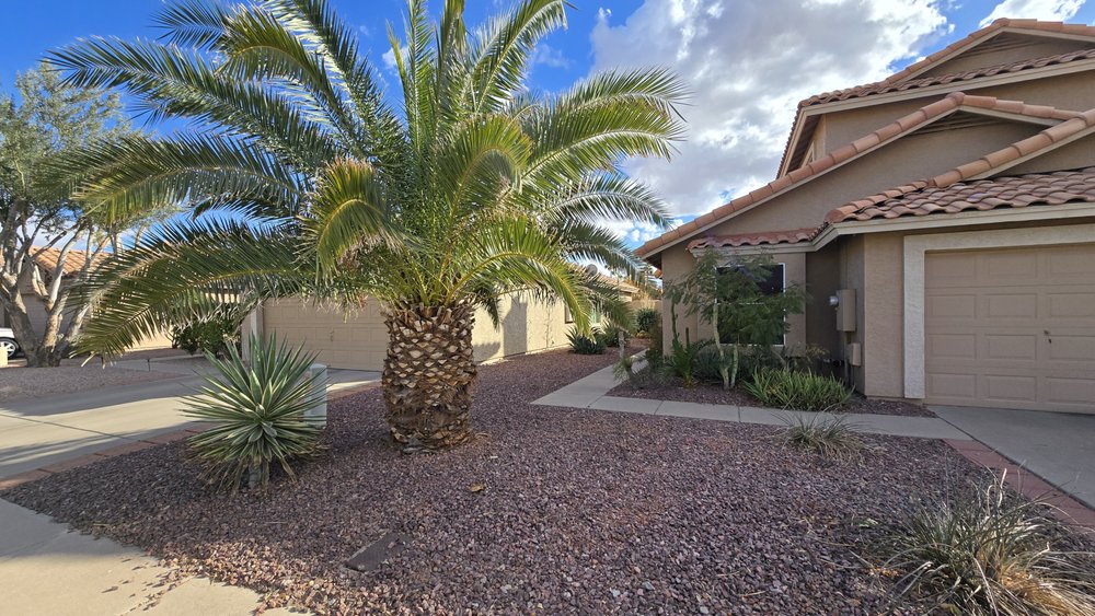 Landscaping El Saguaro - tree service in Phoenix, AZ