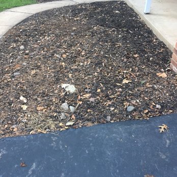Cassella Design & Build - Landscaping Near Me - Springfield, Virginia Cassella Design & Build - Landscaping Near Me - Springfield, Virginia