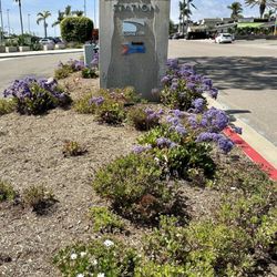 North County Transit District - NCTD - Solana Beach transit center