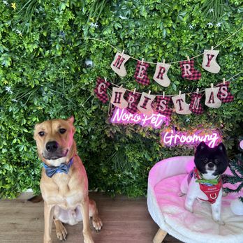 NoNo Pet Grooming - Pet Groomers Near Me - Pomona, California NoNo Pet Grooming - Pet Groomers Near Me - Pomona, California