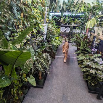 Variegated Ventures - Nurseries & Gardening Near Me - Clarksville, Tennessee