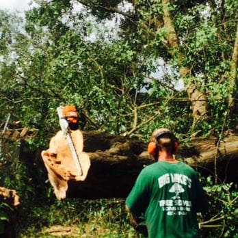 Big Mike's Tree Service - Tree Services Near Me - Casselberry, Florida Big Mike's Tree Service - Tree Services Near Me - Casselberry, Florida