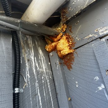 Complete All In One - Poorly managed hole done by previous homeowner on the outside of the house that was allowing animals to get inside - Pest Control Near Me