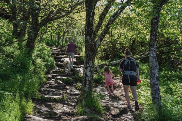Blue Ridge Parkway - Craggy Gardens Visitor Center by null