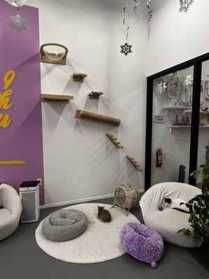 Purrfecto Cat Lounge by null