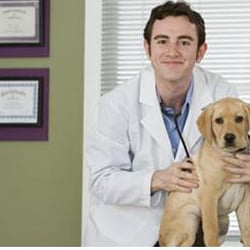 best low cost vet near me