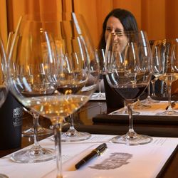 Chateau Montelena Winery - Tasting