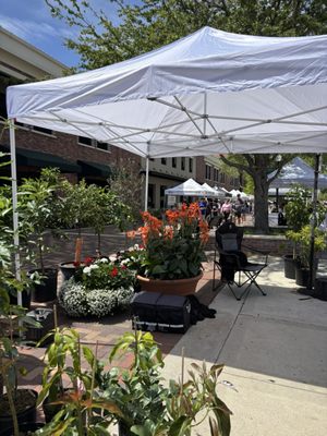 Winter Garden Downtown Pavilion and Farmers Market by null