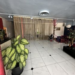 Fly Dragon Foot Relaxing Station