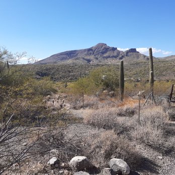 SPUR CROSS RANCH CONSERVATION AREA - Updated January 2026 - 272 Photos ...