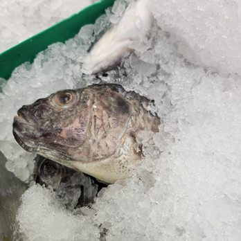 Utica Fish Market - It's all in the eyes at Utica Fish Market - Meat Shops Near Me - Brooklyn, New York Utica Fish Market - It's all in the eyes at Utica Fish Market - Meat Shops Near Me - Brooklyn, New York