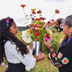 Hudson Wildflower Co - Making as many possible fit in our pail