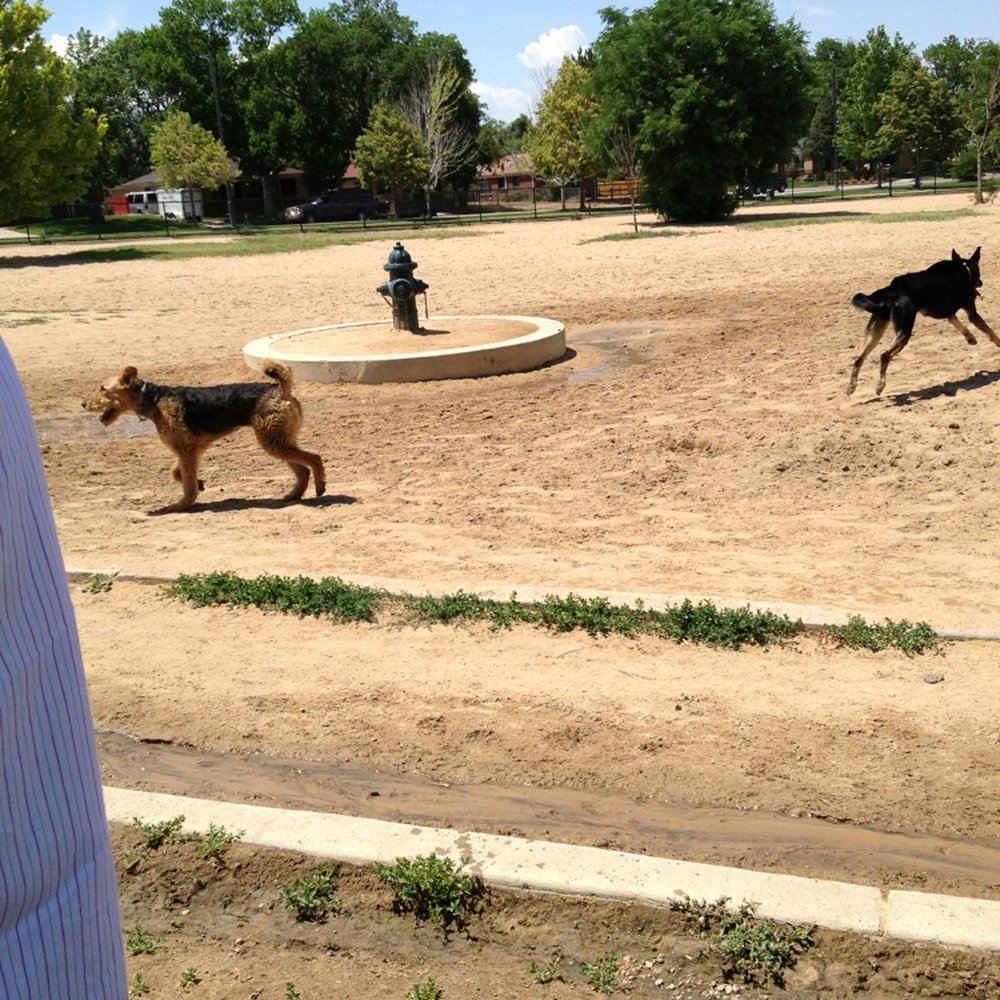Stapleton Dog Park - Dog Parks Near Me - Denver, Colorado Stapleton Dog Park - Dog Parks Near Me - Denver, Colorado