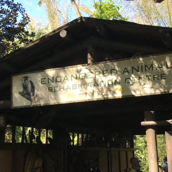 Gorilla Falls Exploration Trail - Trail sign - Amusement Parks Near Me - Lake Buena Vista, Florida