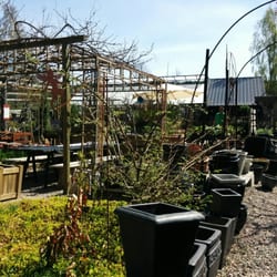 Trädgårdkaféet - Trädgård/plantskolan/café
