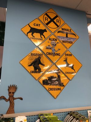 American Science & Surplus by null