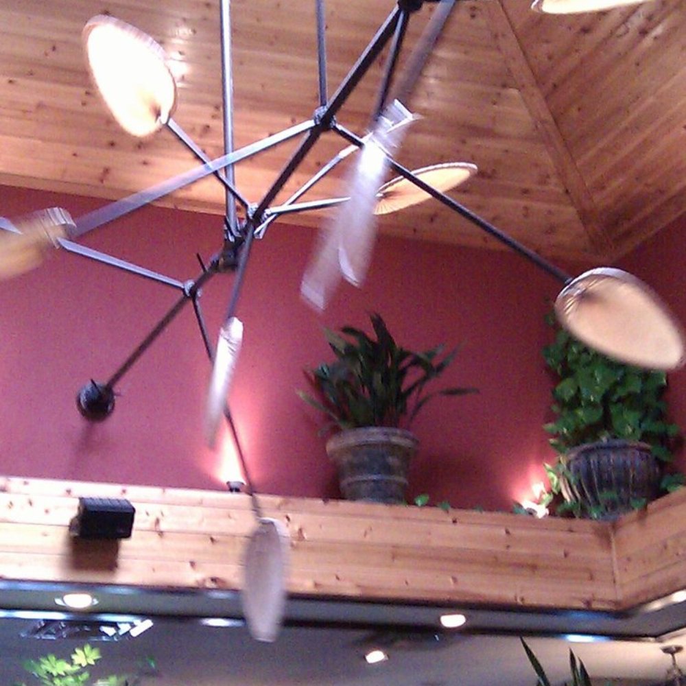 Cheddar's Scratch Kitchen - Awesome Fan - Comfort Food Near Me - Florence, Kentucky
