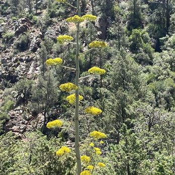 Tonto Natural Bridge State Park - Hiking Near Me - Pine, Arizona Tonto Natural Bridge State Park - Hiking Near Me - Pine, Arizona
