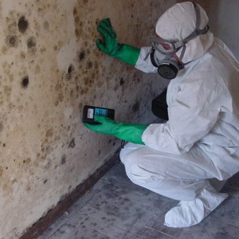 The Mold Guys - Mold Contamination - Environmental Testing Near Me - Venice, Florida