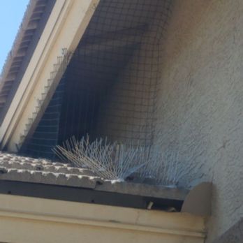 Cabana Pigeon Services - This was the eve that had a nest, bird left prior to their arrival. Power washed this area and my lower entry way. - Pest Control Near Me