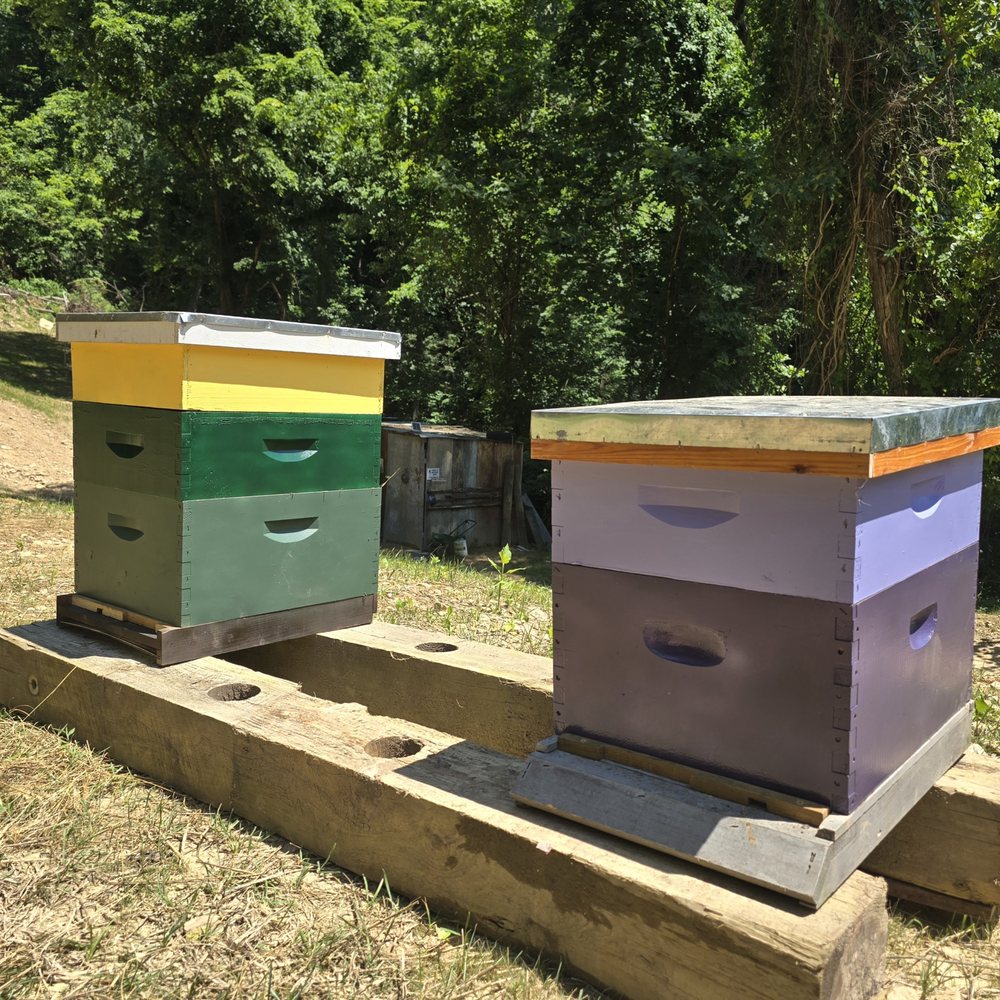 The promised land bee farm