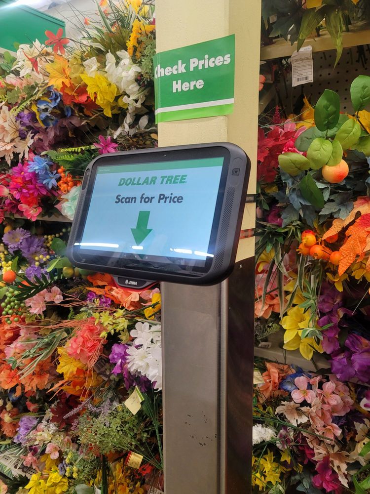 DOLLAR TREE Updated September 2024 12 Photos & 16 Reviews 4211