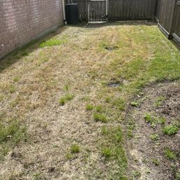 Side yard after TruGreen killed it. Was lush, thick, dark green before the treatment Side yard after TruGreen killed it. Was lush, thick, dark green before the treatment