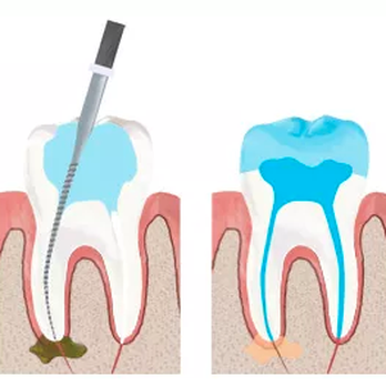 Forest Square Dental - General Dentistry Near Me - Longview, Texas Forest Square Dental - General Dentistry Near Me - Longview, Texas