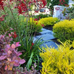 Bountiful Botanicals, Inc. - Bright year round color with low water! Drought tolerant, deer and butterfly friendly!