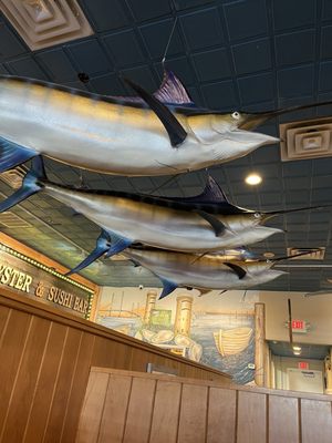 Big Fish Grill Rehoboth by null