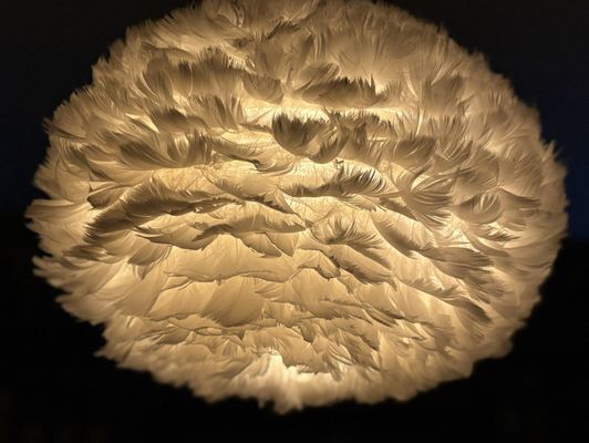 Ludlow House by null