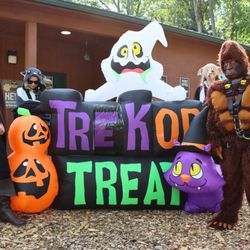 TreeTrekkers - Trek or Treat at Tree Trekkers for Halloween.
