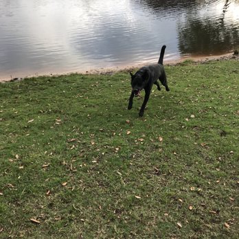 James Holland Park - Dog Parks Near Me - Palm Coast, Florida James Holland Park - Dog Parks Near Me - Palm Coast, Florida