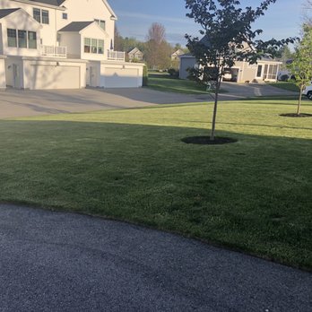 Turf Doctor - Back Yard - Lawn Services Near Me - Portland, Maine Turf Doctor - Back Yard - Lawn Services Near Me - Portland, Maine