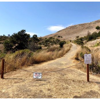 Hippie Tree - 09/03/2018: Enter here-quick and easy path to the swing - Hiking Near Me - Tiburon, California