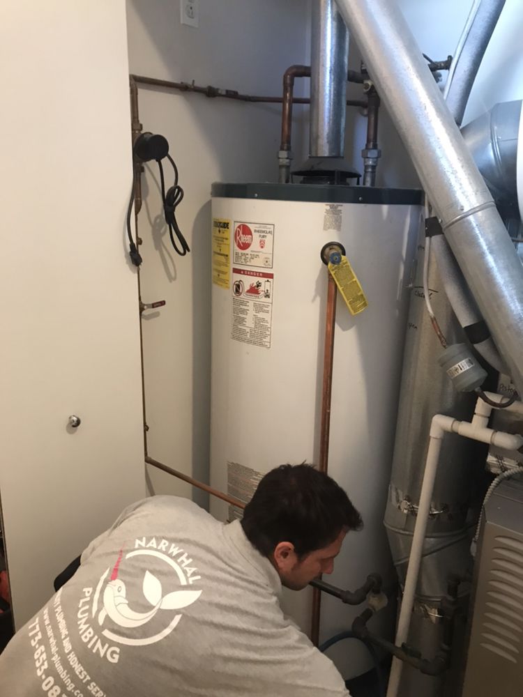 Slide of Narwhal Plumbing