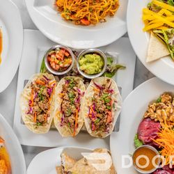 Vegan Tierra