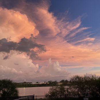 Bark Park - Beautiful sunset - Dog Parks Near Me - Miami, Florida Bark Park - Beautiful sunset - Dog Parks Near Me - Miami, Florida