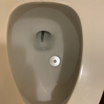 Baymont by Wyndham Mobile/ I-65 - Cleaned toilet what is that in the bottom? - Hotels Near Me - Mobile, Alabama Baymont by Wyndham Mobile/ I-65 - Cleaned toilet what is that in the bottom? - Hotels Near Me - Mobile, Alabama