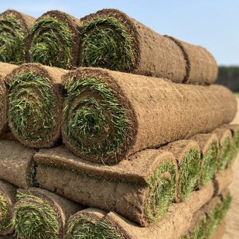 Sunnyview Sod Pros - Artificial Turf Near Me Sunnyview Sod Pros - Artificial Turf Near Me