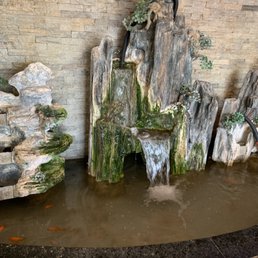 a waterfall and fish a waterfall and fish